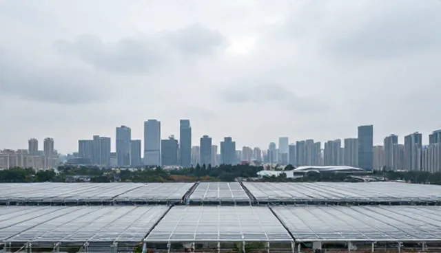 企业名录查询产品适用条件检查要点解析